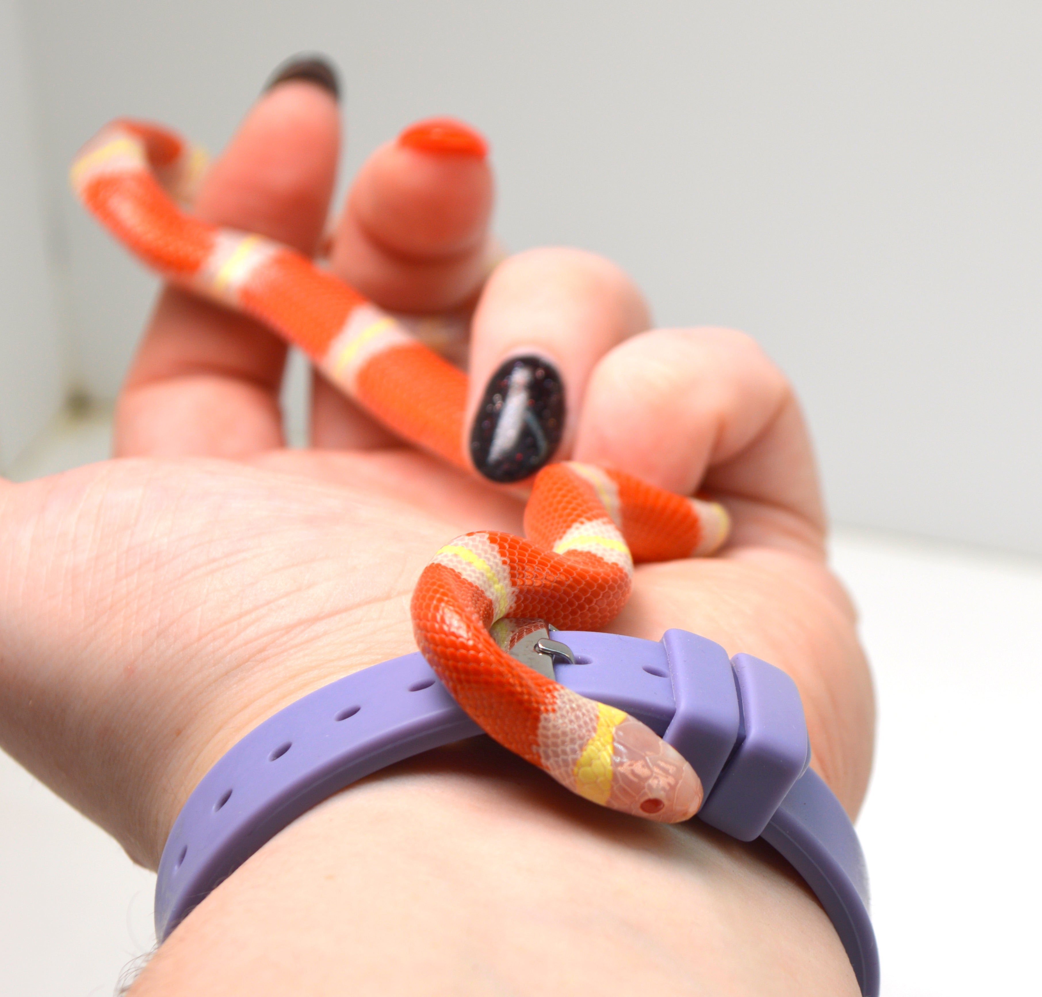 2024 Unsexed Albino Sinaloan Milk Snake