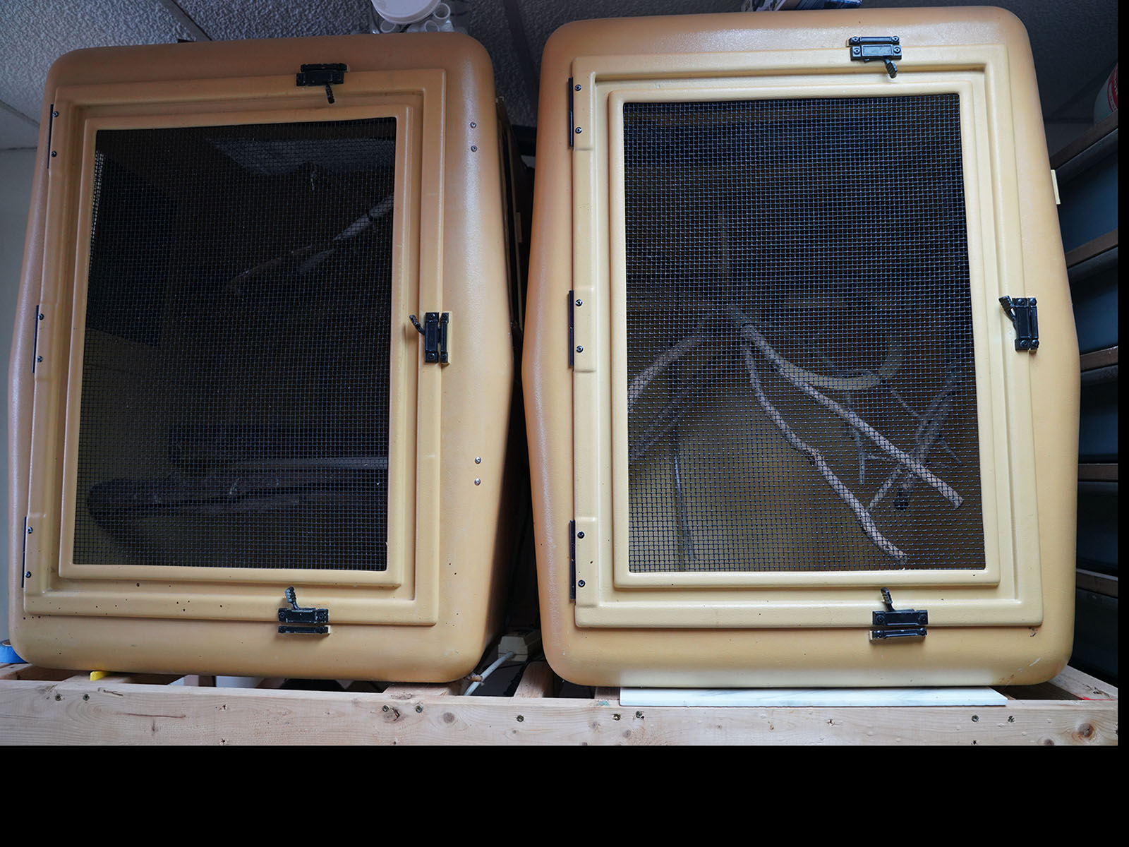 Arboreal Cages & Holding Rack System 2'X2'X3' Local Pick Up Only
