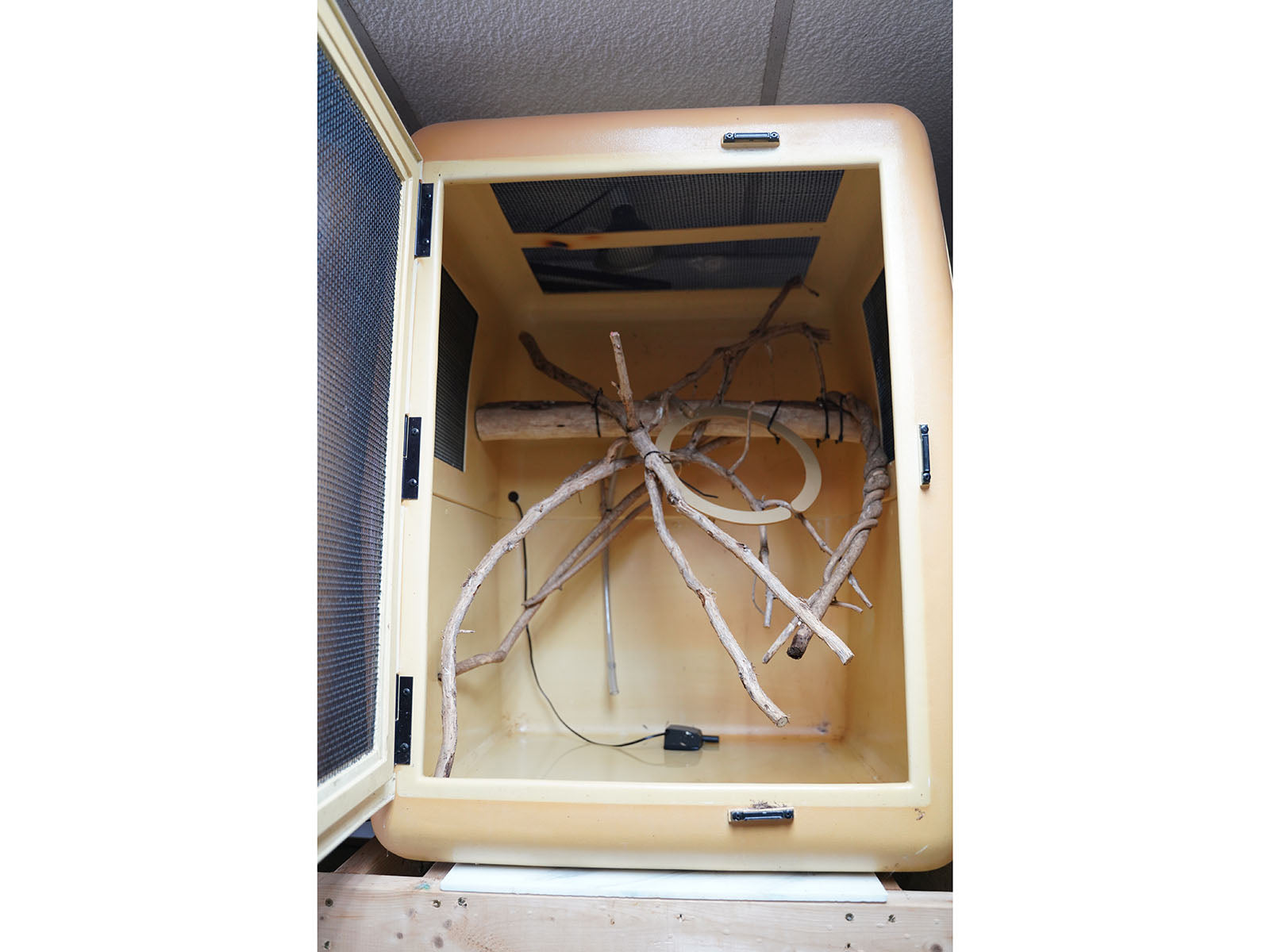 Arboreal Cages & Holding Rack System 2'X2'X3' Local Pick Up Only