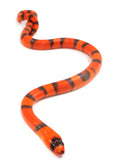 Load image into Gallery viewer, 2023 Male Hypo Het Albino Possible Het Anerythristic Honduran Milk Snake