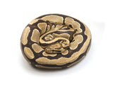 Load image into Gallery viewer, 2020 Male Fire Het Orange Glow Ball Python 