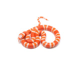 Load image into Gallery viewer, 2023 Male Hypo Albino Honduran Milk Snake 