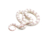 Load image into Gallery viewer, 2023 Male Albino Banded California King Snake