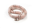 Load image into Gallery viewer, 2023 Male Ghost Het Albino Honduran Milk Snake 