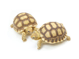 Load image into Gallery viewer, 2023 Unsexed Sulcata Tortoise - Representative Photos.