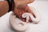 Load image into Gallery viewer, 2022 Male Leucistic Oddity From Pastel Super Stripe Combo + Ball Python - SALE! Wild Card