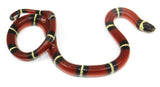 Load image into Gallery viewer, 2023 Female Sinaloan Milk Snake