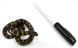 Load image into Gallery viewer, 2023 Female Marina Del Rey King Snake