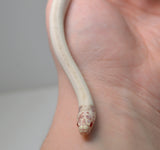 Load image into Gallery viewer, &quot;Love Bug&quot; 2024 Male High White Albino California King Snake