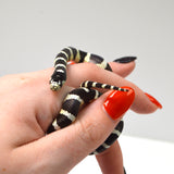 Load image into Gallery viewer, &quot;Beetlejuice&quot; 2024 Unsexed Black and White Banded California King Snake