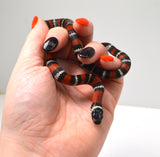 Load image into Gallery viewer, 2024 CBB Male Black Milk Snake