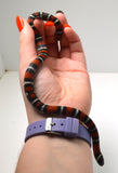 Load image into Gallery viewer, 2024 CBB Male Black Milk Snake