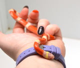 Load image into Gallery viewer, 2024 Unsexed Albino Sinaloan Milk Snake