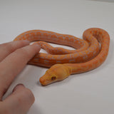 Load image into Gallery viewer, 2024 CBB Male Citrus Albino Lavender Phantom Reticulated Python