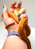 Load image into Gallery viewer, 2024 Female Orange Ghost Stripe Suntiger Het Albino (Purple) Reticulated Python