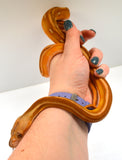 Load image into Gallery viewer, 2024 Female Orange Ghost Stripe Suntiger Het Albino (Purple) Reticulated Python