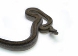 Load image into Gallery viewer, Female Smoke Boa Constrictor