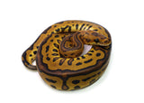 Load image into Gallery viewer, Female Clown Spotnose Leopard Red Stripe Ball Python