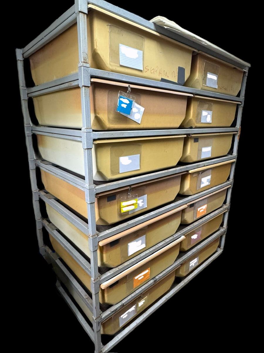 Double-Wide Drawer Snake Racks β New England Reptile - NERD