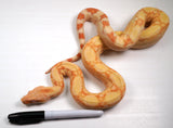 Load image into Gallery viewer, SALE! 21&#39; (Updated) Male Lipstick Kahl Albino IMG Jungle Boa Constrictor.