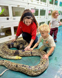 Load image into Gallery viewer, Live Reptile Demo - We Bring the Zoo to YOU!