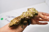 Load image into Gallery viewer, Grand Terre Female Leachianus