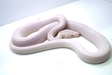 Load image into Gallery viewer, Female Super Phantom Reticulated Python