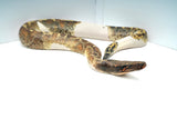 Load image into Gallery viewer, Pied Blood 50% Poss Het Albino