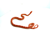 Load image into Gallery viewer, Albino Het Palmetto Corn Snake