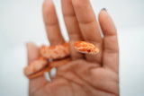 Load image into Gallery viewer, Albino Het Palmetto Corn Snake