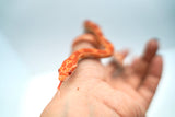 Load image into Gallery viewer, Albino Het Palmetto Corn Snake
