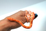 Load image into Gallery viewer, Albino Het Palmetto Corn Snake