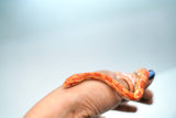 Load image into Gallery viewer, Albino Het Palmetto Corn Snake