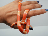 Load image into Gallery viewer, Fancy Honduran Milk Snake