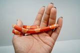 Load image into Gallery viewer, Fancy Honduran Milk Snake