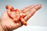 Load image into Gallery viewer, Albino Poss Hypo Honduran Milk Snake