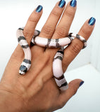 Load image into Gallery viewer, Anery Het Albino Honduran Milk Snake