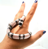 Load image into Gallery viewer, Anery Het Albino Honduran Milk Snake