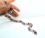 Load image into Gallery viewer, Anery Het Albino Honduran Milk Snake