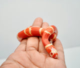 Load image into Gallery viewer, Fancy Honduran Milk Snake