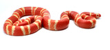 Load image into Gallery viewer, Fancy Honduran Milk Snake