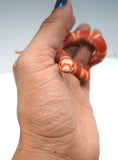 Load image into Gallery viewer, Fancy Honduran Milk Snake