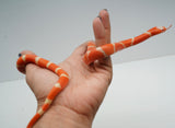 Load image into Gallery viewer, Fancy Honduran Milk Snake
