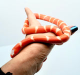 Load image into Gallery viewer, Fancy Honduran Milk Snake
