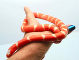 Load image into Gallery viewer, Fancy Honduran Milk Snake