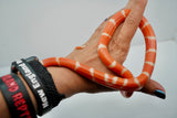 Load image into Gallery viewer, Fancy Honduran Milk Snake