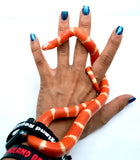 Load image into Gallery viewer, Fancy Honduran Milk Snake