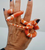 Load image into Gallery viewer, Fancy Honduran Milk Snake