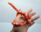 Load image into Gallery viewer, Fancy Honduran Milk Snake