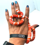 Load image into Gallery viewer, Fancy Honduran Milk Snake